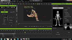 verifiseringsvideo for anime