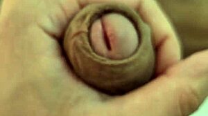 Wow, lihat batang tebel gue di aksi anime!