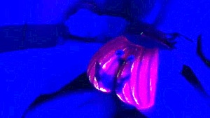 해피 할로윈 축하해