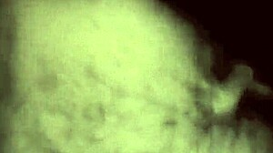 vintage erotic illustration from retro comic anime