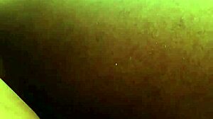 рекстипи проблясва путката на мелин с голямата си черна пишка