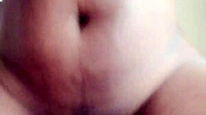 рекстипи проблясва путката на мелин с голямата си черна пишка