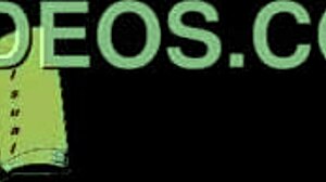 이 3D 애니 게임에서 자유로운 선택으로 야한 장면과 캐릭터 섹스를 탐험해요.