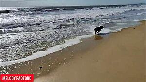 Hell Yeah! Bikini Milf Struts Huge Ass on Public Beach