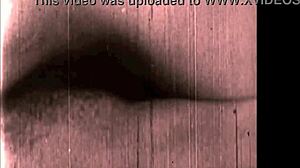 Coleção de desenhos eróticos vintage crus e quentes