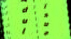 Leap of Faith 103 Mostra Peitos Grandes em Ação 3D!