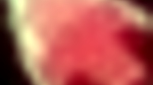 honeysun tutorial kicks off with redhead stewardess blowjob action