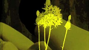 those vintage erotic drawings feel so timeless and intriguing to me