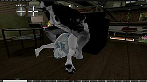 Wild Bull Riding Fun with Wolf Yiff Action