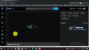 How To Make Porn Website