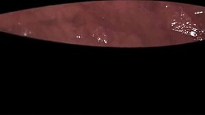 Hey, check out this Warcraft animation where giantess Alexstrasza swallows in vore scene