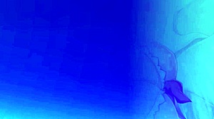 סצנת אקצ'י לוהטת של סיירה קורהאשי ב-Tsuki No Kanata De Aimashou