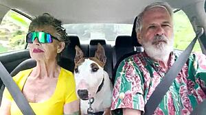 Road Trips on Oahu's Windy Drives