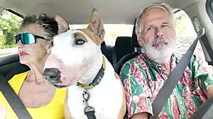 Road Trips on Oahu's Windy Drives