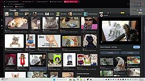 Henteria Chronicles 3 Part 29!