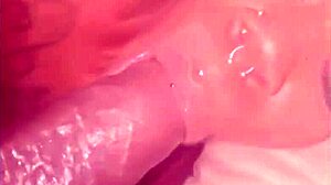 Succubus Sistaz Vol 3?