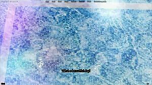 Sexy redhead landlady flirts seductively with her young tenant in hentai