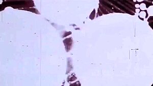 Vintage Erotic Art Collection from Retro Times