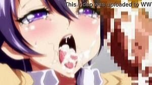 hmv ptazeta unfolds anime tales smoothly