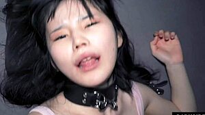 Fuck the Anime Girl?