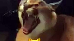 Mom claims anal rights from cop in hentai assfucking frenzy part 1