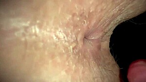 Why tongue my ass instead of cartoons?