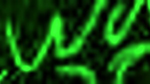 Ogre girl hogtied fucked by orcs in fantasy bondage