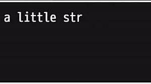 NTR Police Ruri Sakura Big Ass Tits Disappear City Patrol Part 6